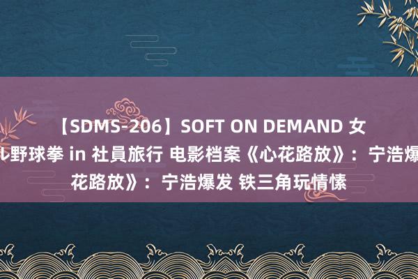 【SDMS-206】SOFT ON DEMAND 女子社員スペシャル野球拳 in 社員旅行 电影档案《心花路放》：宁浩爆发 铁三角玩情愫