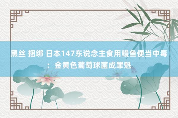 黑丝 捆绑 日本147东说念主食用鳗鱼便当中毒：金黄色葡萄球菌成罪魁