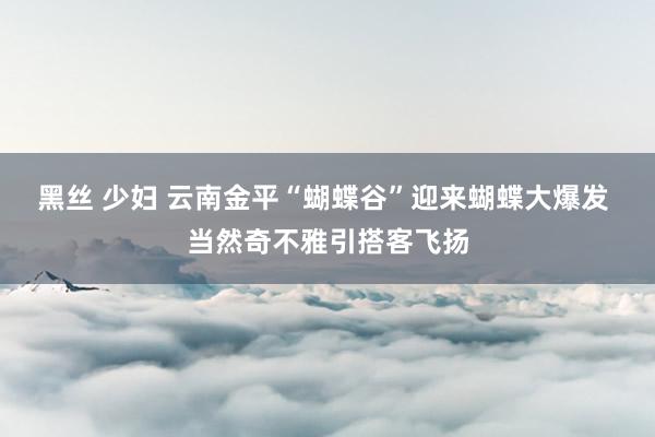 黑丝 少妇 云南金平“蝴蝶谷”迎来蝴蝶大爆发 当然奇不雅引搭客飞扬