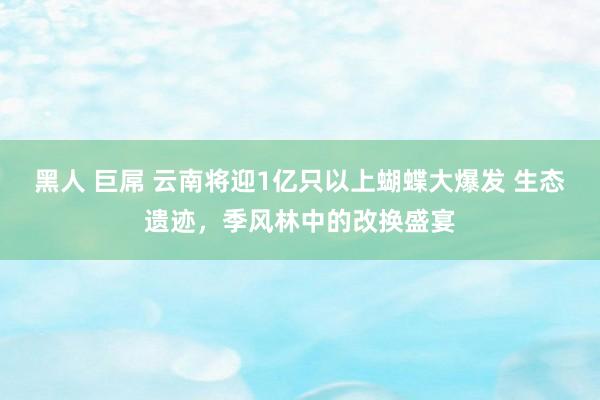 黑人 巨屌 云南将迎1亿只以上蝴蝶大爆发 生态遗迹，季风林中的改换盛宴