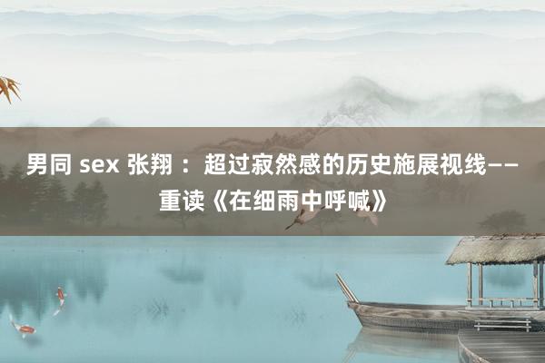 男同 sex 张翔 ：超过寂然感的历史施展视线——重读《在细雨中呼喊》