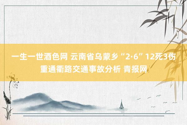 一生一世酒色网 云南省乌蒙乡“2·6”12死3伤重通衢路交通事故分析 青报网