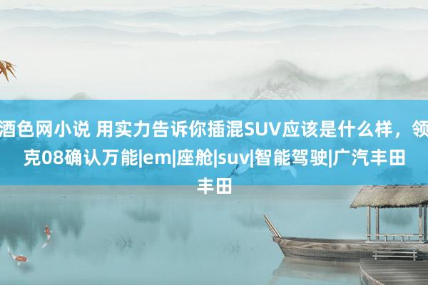 酒色网小说 用实力告诉你插混SUV应该是什么样，领克08确认万能|em|座舱|suv|智能驾驶|广汽丰田