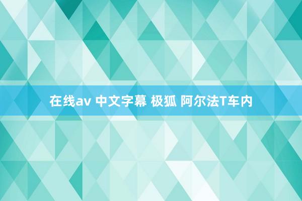 在线av 中文字幕 极狐 阿尔法T车内