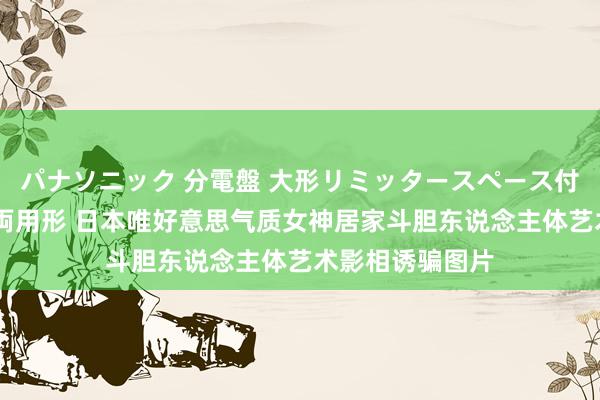 パナソニック 分電盤 大形リミッタースペース付 露出・半埋込両用形 日本唯好意思气质女神居家斗胆东说念主体艺术影相诱骗图片