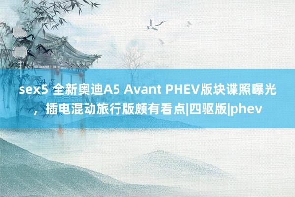 sex5 全新奥迪A5 Avant PHEV版块谍照曝光，插电混动旅行版颇有看点|四驱版|phev