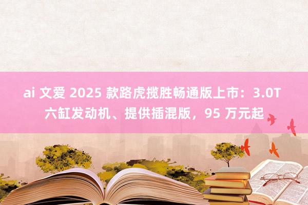 ai 文爱 2025 款路虎揽胜畅通版上市：3.0T 六缸发动机、提供插混版，95 万元起