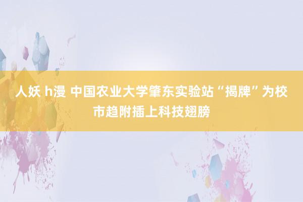 人妖 h漫 中国农业大学肇东实验站“揭牌”为校市趋附插上科技翅膀