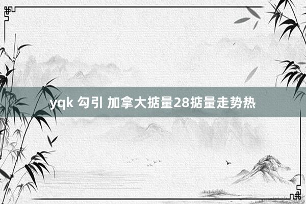 yqk 勾引 加拿大掂量28掂量走势热