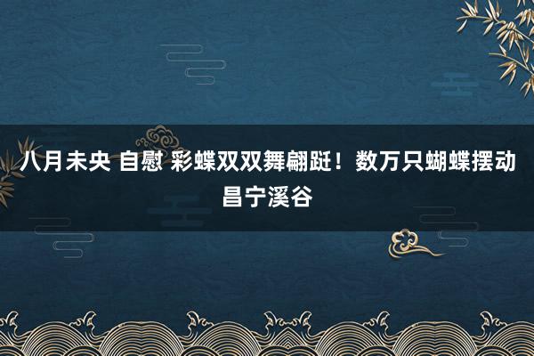 八月未央 自慰 彩蝶双双舞翩跹！数万只蝴蝶摆动昌宁溪谷