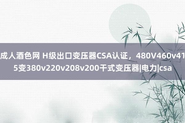 成人酒色网 H级出口变压器CSA认证，480V460v415变380v220v208v200干式变压器|电力|csa