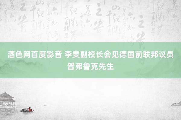 酒色网百度影音 李斐副校长会见德国前联邦议员普弗鲁克先生